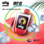브이플라이 VFLY C1 아크 워터멜론 아이스 일회용 전자담배