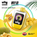 브이플라이 VFLY C1 실론 잭프룻 일회용 전자담배