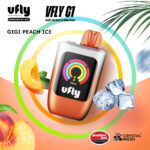 브이플라이 VFLY C1 기기 피치 아이스 일회용 전자담배